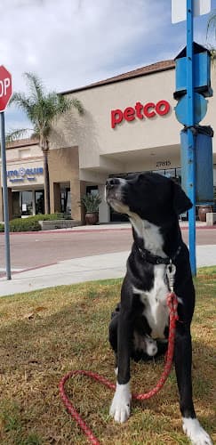 Dog day care center Petco Mission Viejo