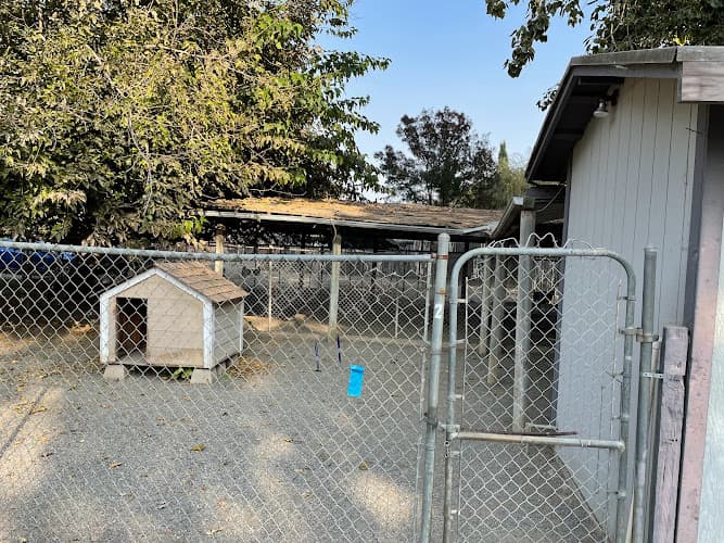 Dog day care center Pets Frolic Inn Antioch