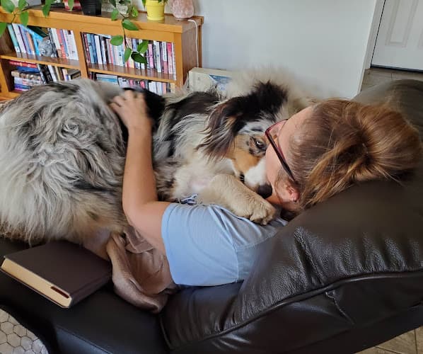 Dog day care center PETS Hospital Santa Maria