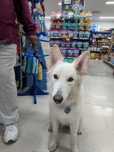 Dog day care center Pets Plus Mission Viejo