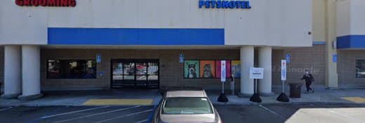 Dog day care center PetsHotel Daly City Daly City