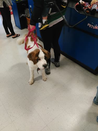 Dog day care center PetSmart Bend