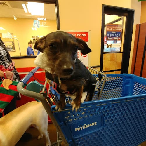 Dog day care center PetSmart Chico