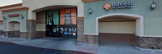 Dog day care center PetSmart Grooming Clovis