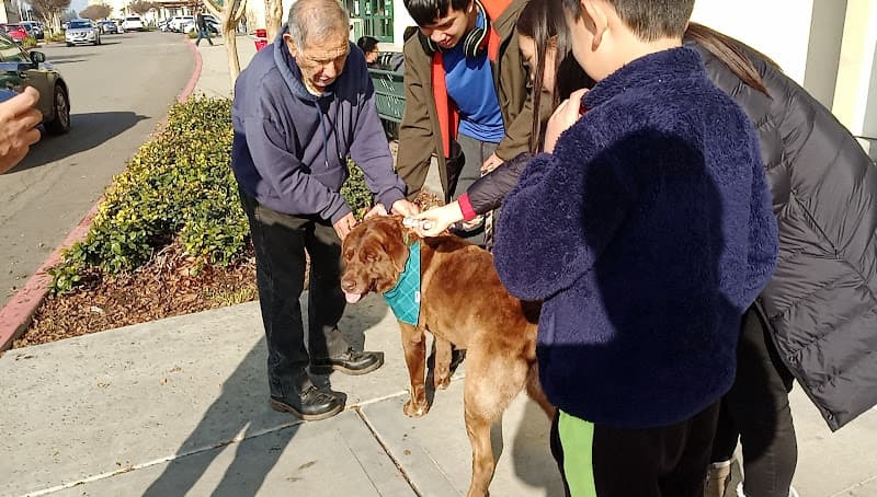 Dog day care center PetSmart Grooming Stockton