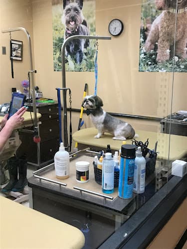 Dog day care center PetSmart Rancho Cucamonga