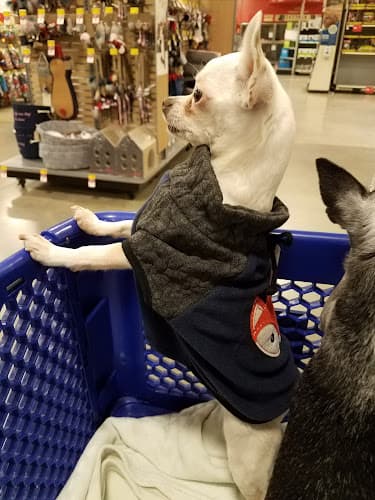 Dog day care center PetSmart Victorville