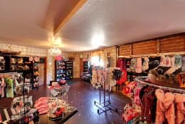 Dog day care center Poodie's Pet Palace Renton