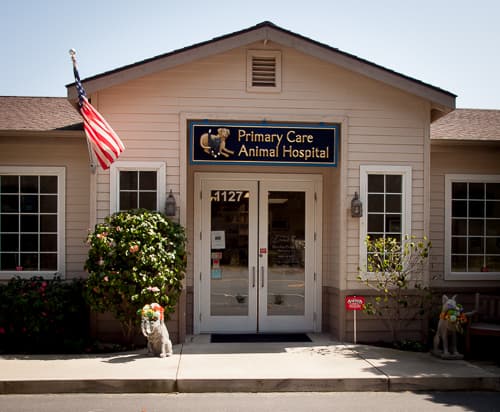 Dog day care center Primary Care Animal Hospital Santa Maria