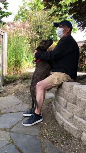 Dog day care center Puget Sound Pets, LLC Renton