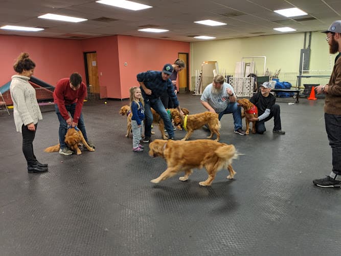 Dog day care center Pup-A-Razzi Hillsboro