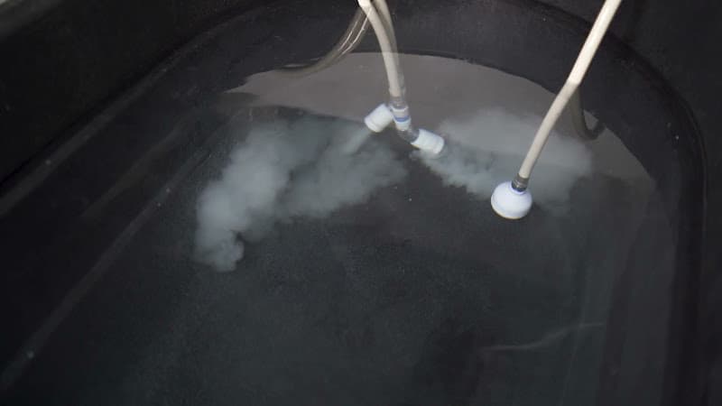 Dog day care center Puppy Pad Spokane