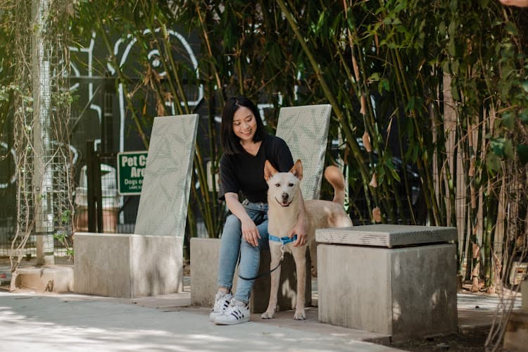 Dog day care center Puppy Pants LA Los Angeles