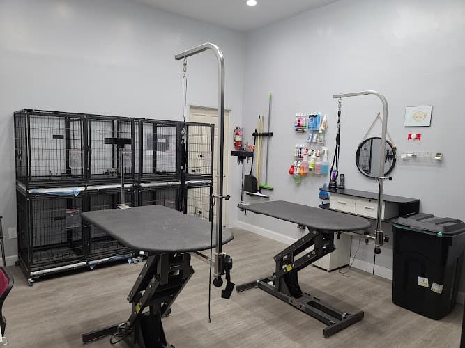 Dog day care center Pups in Tubs Grooming Salon Glendale