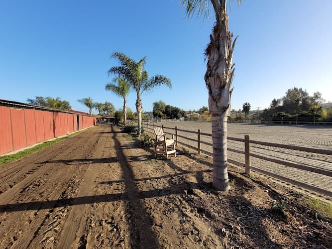 Dog day care center Rancho Dos Palmas Boarding Vista