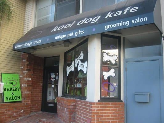 Dog day care center Redondo Dog Carson