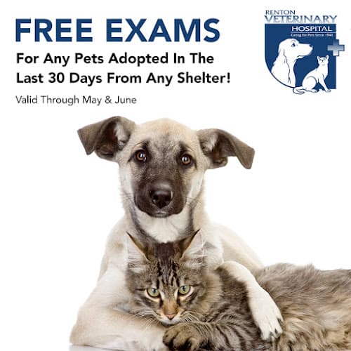 Dog day care center Renton Veterinary Hospital Renton