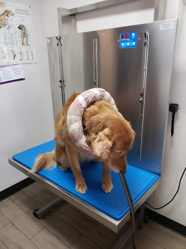 Dog day care center Riverdale Animal Hospital Anaheim