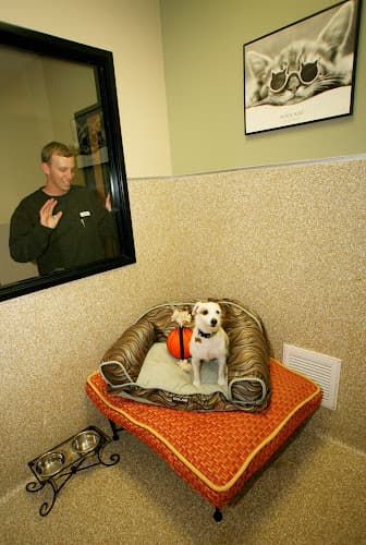 Dog day care center Rolling Hills Pet Hospital Chula Vista