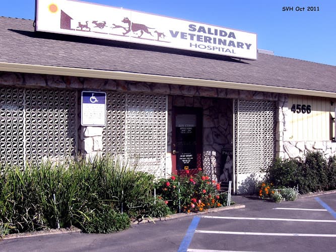 Dog day care center Salida Veterinary Hospital Modesto