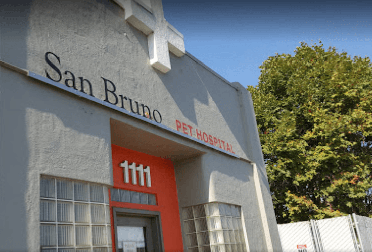 Dog day care center San Bruno Pet Hospital Daly City