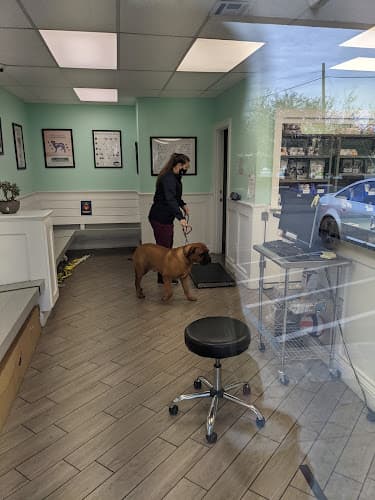 Dog day care center San Jose Animal Hospital, A Thrive Pet Healthcare Partner San Jose