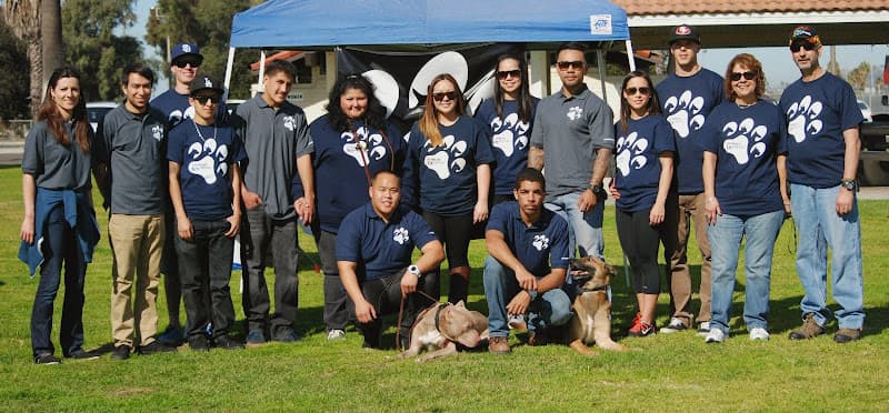 Dog day care center Sandlot K9 Services Los Angeles