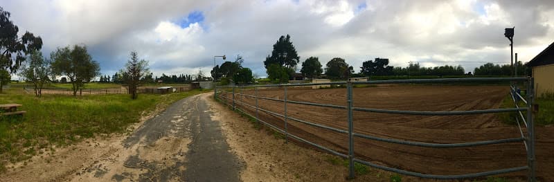 Dog day care center Santa Maria Valley Equestrian Center Santa Maria