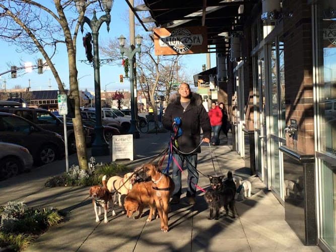 Dog day care center Scooby's Dogwalkin Everett