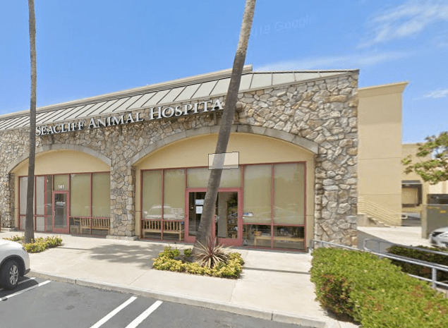 Dog day care center Seacliff Animal Hospital Huntington Beach
