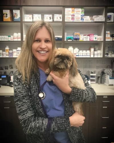 Dog day care center Sendero Animal Hospital Mission Viejo