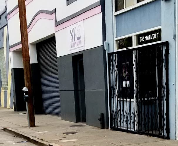 Dog day care center SF Puppy Love San Francisco