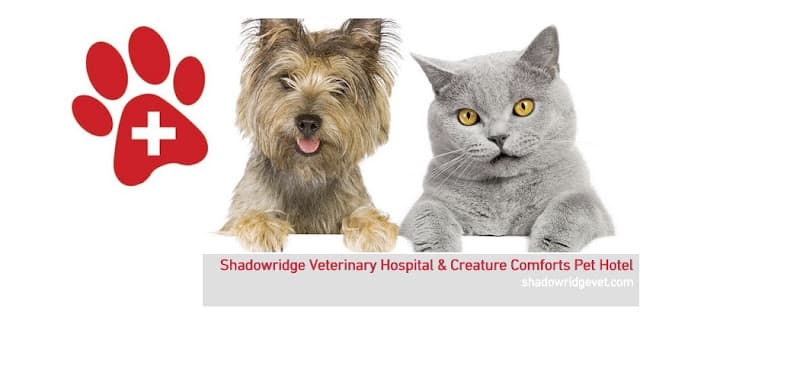 Dog day care center Shadowridge Veterinary Hospital & Creature Comforts Pet Hotel in Vista Vista