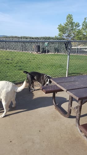 Dog day care center Simi Dog Park Simi Valley