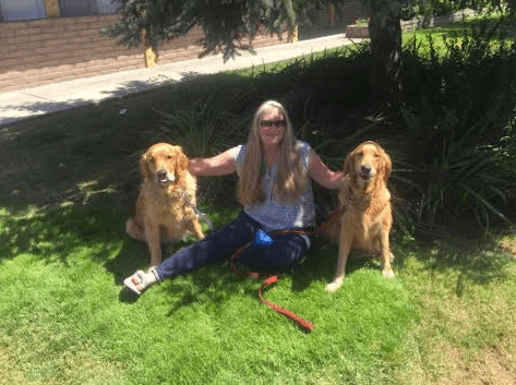 Dog day care center Sittin' Pretty Pet & Home Sitters Sunnyvale