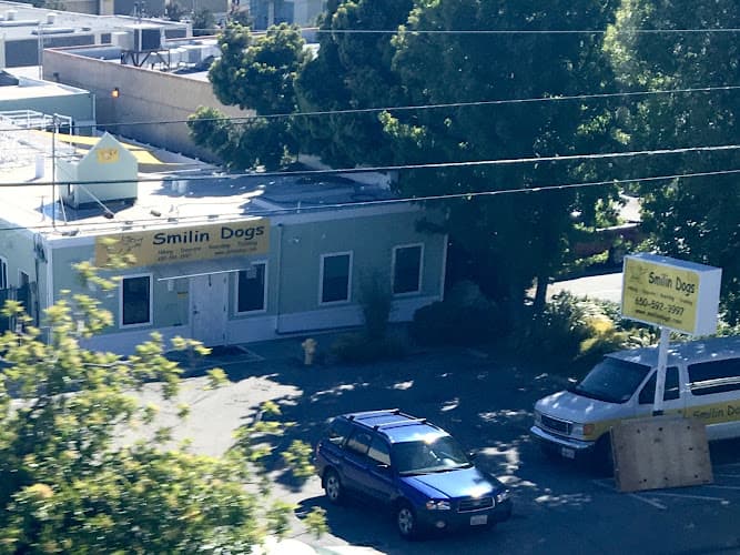 Dog day care center Smilin Dogs Santa Clara