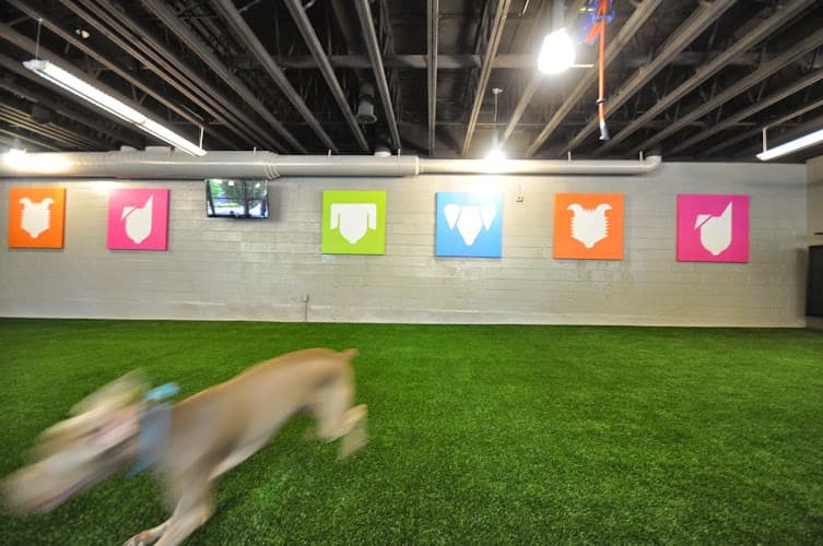 Dog day care center Sniff Dog Hotel Portland