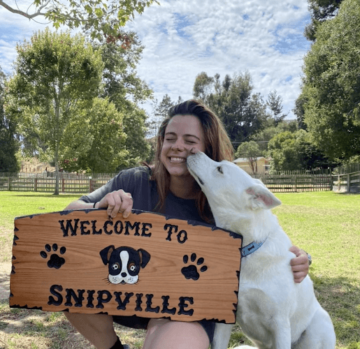 Dog day care center Snipville Pet Care Salinas