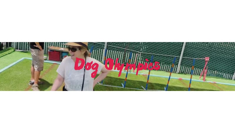 Dog day care center South Park Doggie - Doggieland (LA) Los Angeles