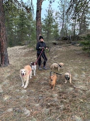 Dog day care center Spokane's Best Pet Sitter Spokane Valley