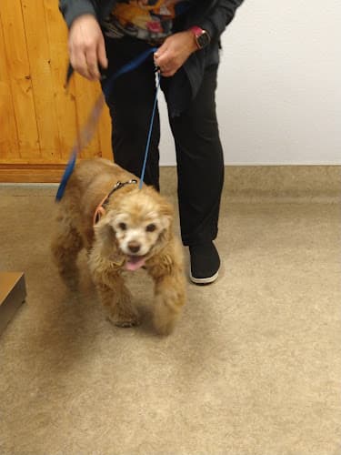 Dog day care center Sunnymead Animal Hospital Moreno Valley