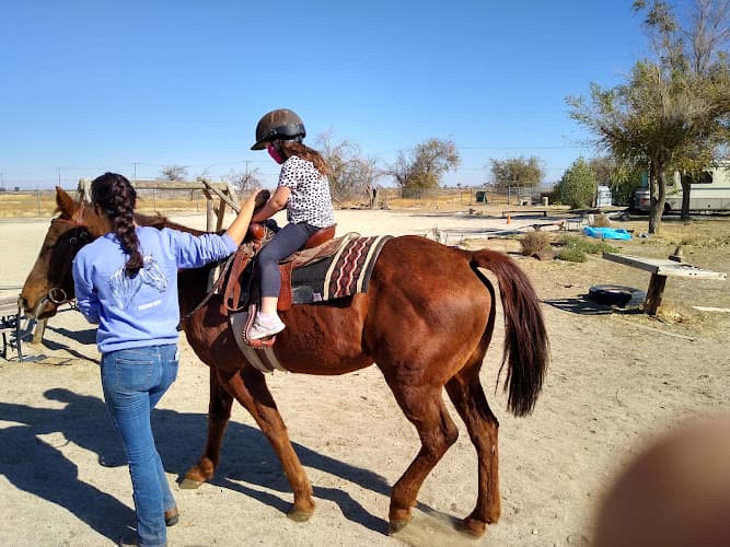Dog day care center Sweetwater Ranch and Carriage Company Lancaster