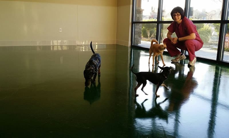 Dog day care center Temecula Valley Animal Hospital Murrieta