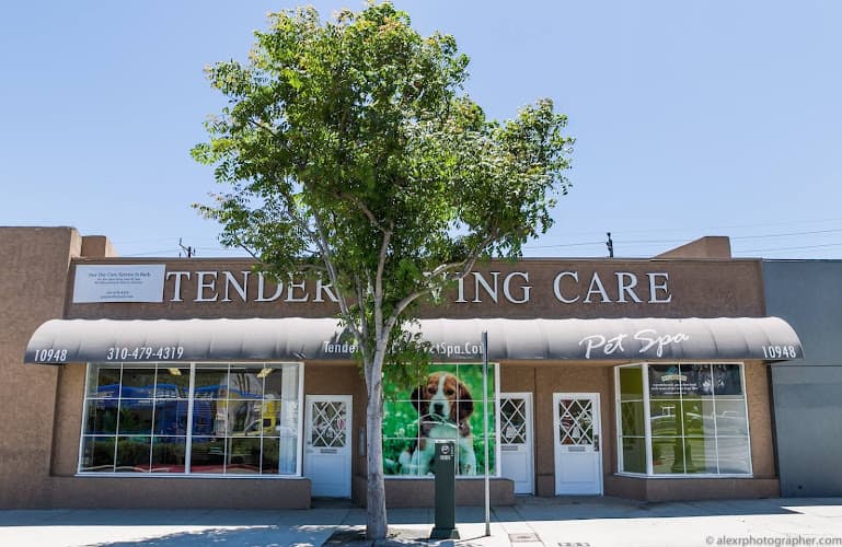 Dog day care center Tender Loving Care Pet Spa Los Angeles