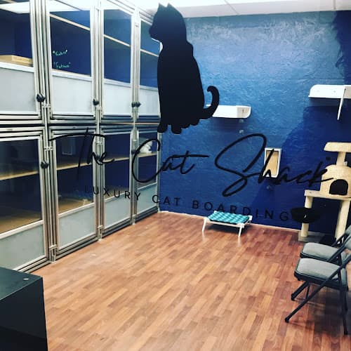 Dog day care center The Cat Shack - Luxury Cat Boarding Lancaster