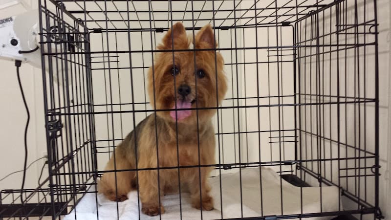 Dog day care center The Dog Pawlor San Jose