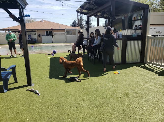 Dog day care center The Local Bark Park Sacramento