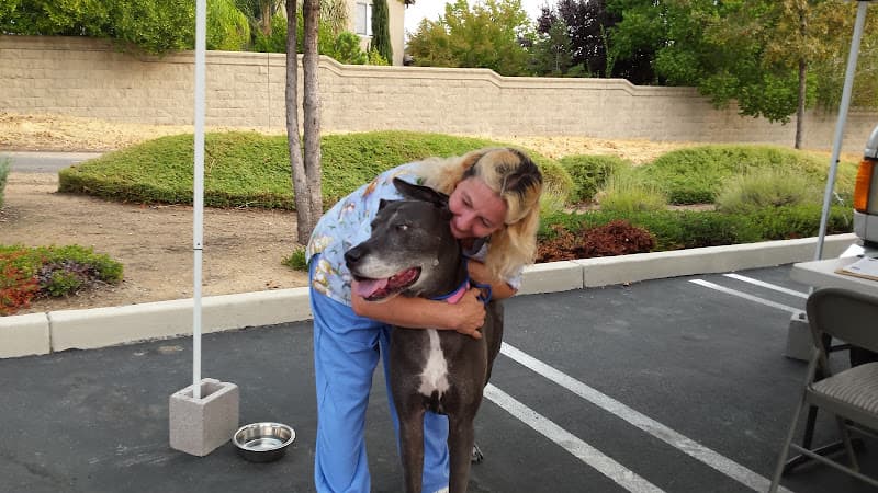 Dog day care center The Natural Pet Tooth Fairy Vacaville