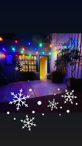 Dog day care center The Pack, Fruitvale Oakland