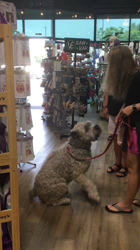 Dog day care center The Pet Shop Vacaville